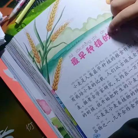 闫怡静家庭作业