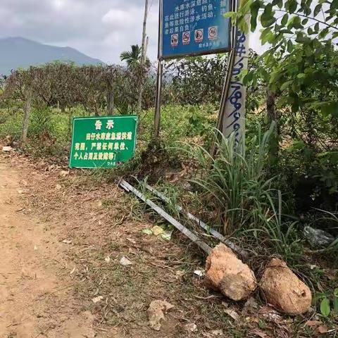 西南水利管理所田仔水库采取行动，严查破坏水利设施行为
