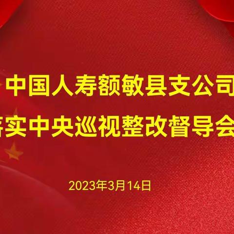 中国人寿额敏县支公司召开落实中央巡视整改及多元板块业务督导工作会议