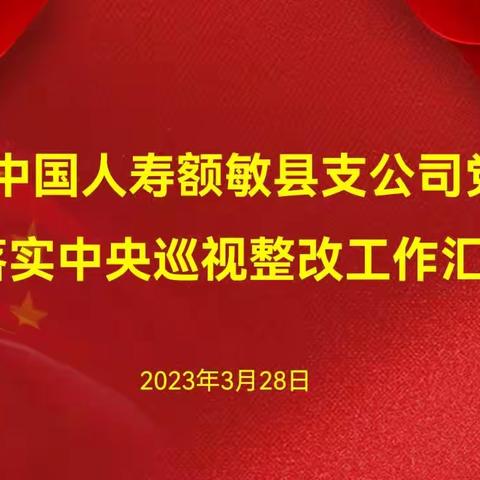 中国人寿额敏县支公司召开落实中央巡视整改工作会议