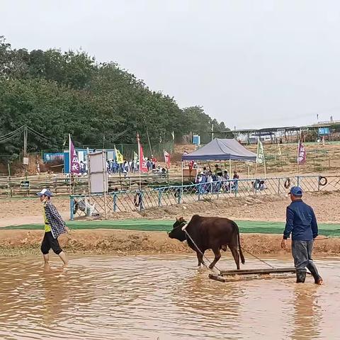 春天里，我们一起来体验农耕生活