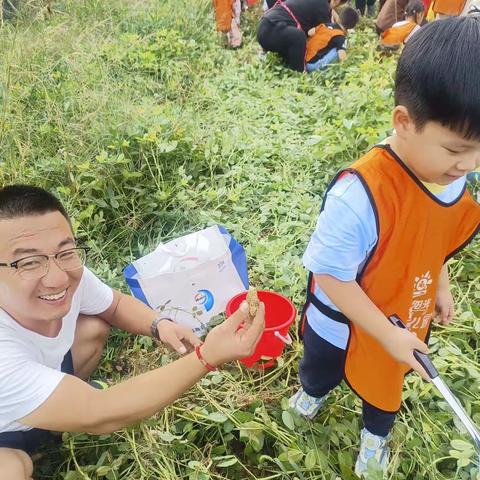 智美幼儿园秋收的喜悦😀