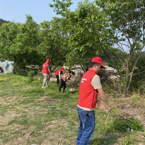 黄龙山村“美丽乡村建设百日攻坚行动”