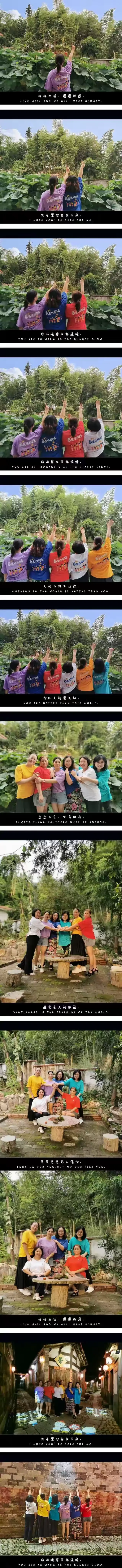 简篇-致梧桐情.二十载