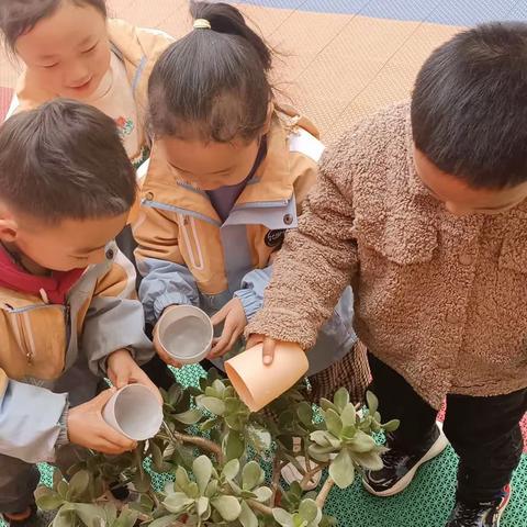 3月12日——金色阳光幼儿园植树节活动