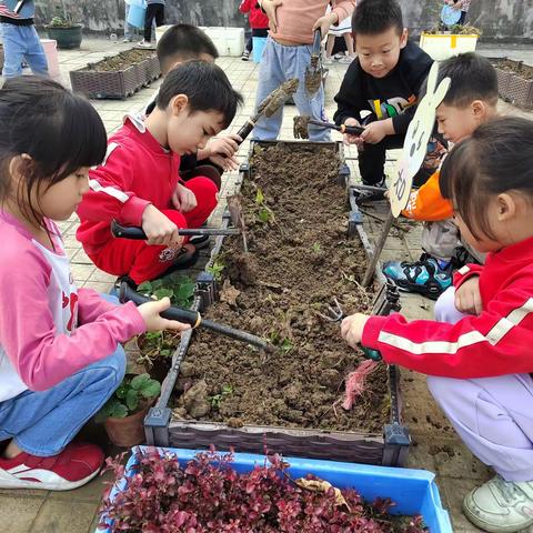 东凤东海幼儿园大四班植树节活动