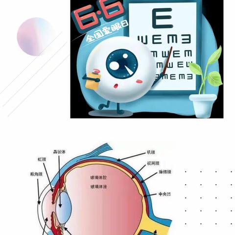 守护“睛”彩视界，点亮“光”明未来 ——铁路东村幼儿园宣