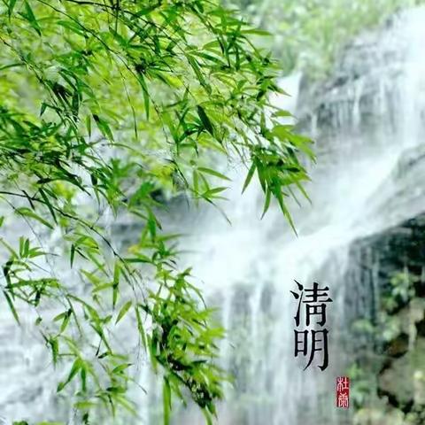 空气"清"太阳"明"趁着"节"日去踏青，百花绽放天气好，景色怡人心空旷。清明节，祝你我安康！—大C班