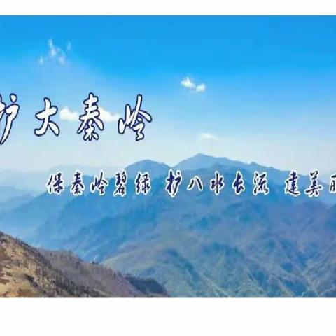 当好秦岭生态卫士，呵护宁静和谐美丽秦岭——周至县翠峰镇中心小学开展保护秦岭主题活动纪实