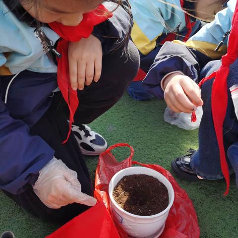 护绿在行动（三2绿植种植活动）