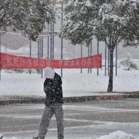 春雪满空来，触处似花开