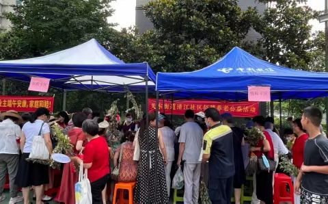 粽叶飘香，情满社区