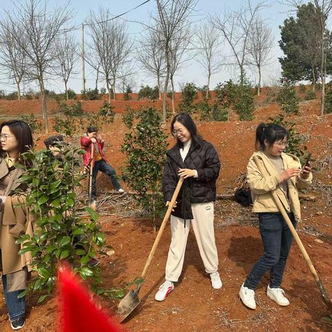 春风吹十里 征信助企行