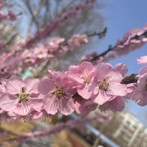 以爱为伴、温暖童年——圣城街道东关幼儿园芽芽级部