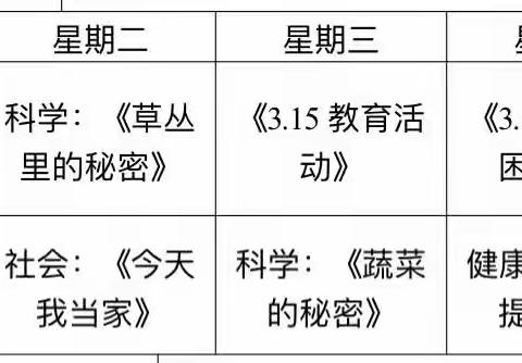 木多多幼儿园小一班家园联系桥（3月）
