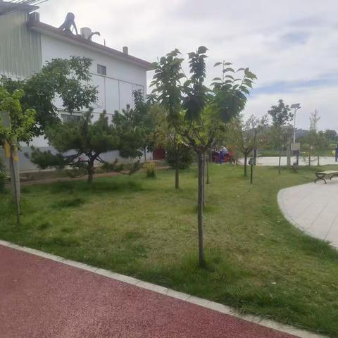 修剪树枝 美化家园