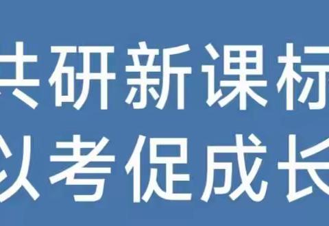 共研新课标，以考促成长 ——郾城区实验小学开展课标考试