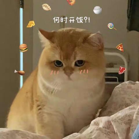 2023.3.22童星幼儿园乐高一班乐高课～小猫🐈