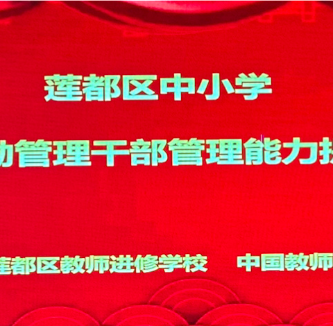 前路漫漫，不忘初心——记莲都区中小学财务后勤管理干部管理能力提升培训