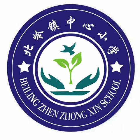 北岭镇中心小学表彰大会