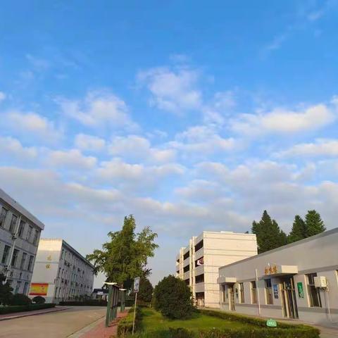 【“双减”新皋地】童心绽放，欢庆六一——江安镇黄岱小学迎接六一儿童节