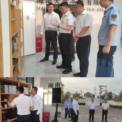 县政府副县长陈奕健到海南天然茶叶有限公司调研