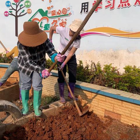 🍃爱果蔬   享创意🍃———贞元堡幼儿园种植活动