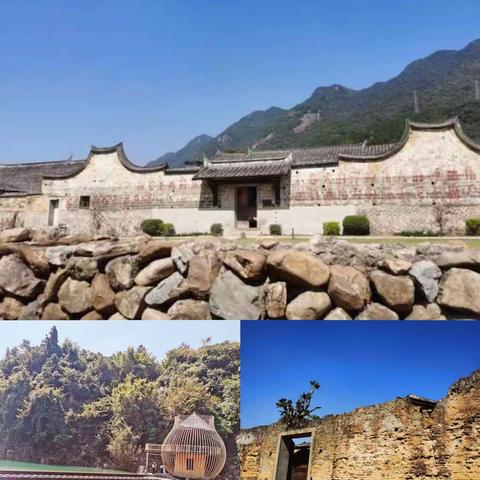 省直住宅中心开展庆祝“三八节”活动