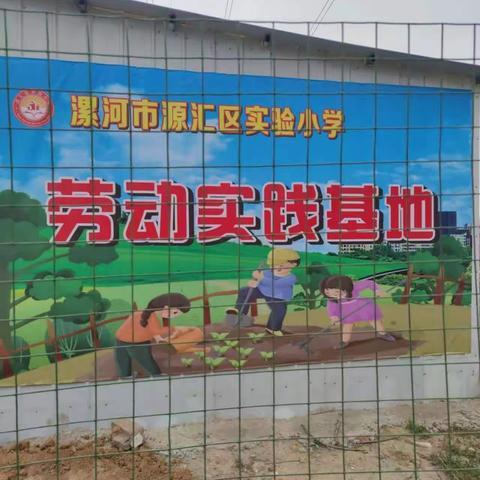 源汇区实验小学三一班劳动实践纪实