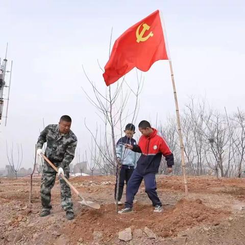 “我爱绿水青山”——记背荫村两委义务植树活动