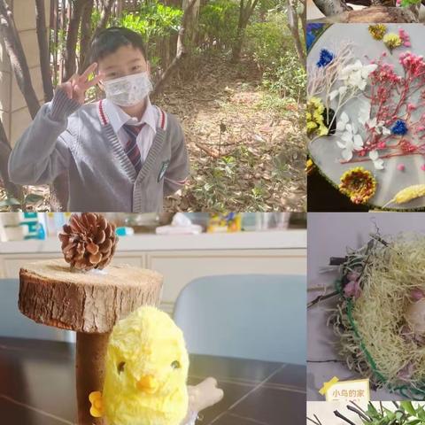 【312中队月度展示】人间最美三月天，春花烂漫展新颜