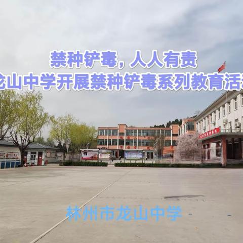 禁种铲毒，人人有责——龙山中学开展禁种铲毒系列教育活动