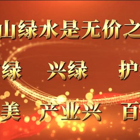 宁化县林业局安乐林业站 工作动态﻿ ﻿（2024.6.17–6.21）