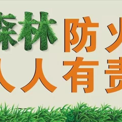 共享森林美景，严防森林火灾——雹水乡黄金峪小学助力预防森林火灾