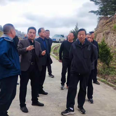 市林草局督查豆坝林场2022年秦岭西段水源涵养与生物多样性保护修复项目