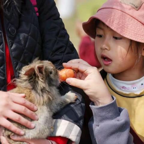 海贝中英文幼儿园(建工园)——走进自然 拥抱春天