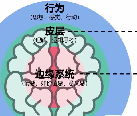 普善幼儿园中五班第一次线上读书会《非暴力沟通亲子篇》——看到行为背后的需要