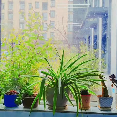 绿色与华源相伴