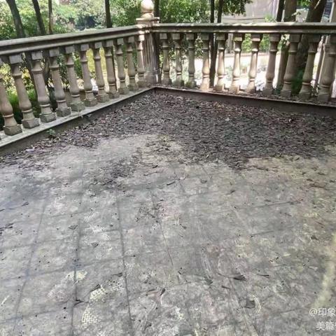 售498万❗️凯旋帝景，独栋大别墅🏡产权535平 客厅挑高大气环绕房子超大花园➕平台花园4个☎️66