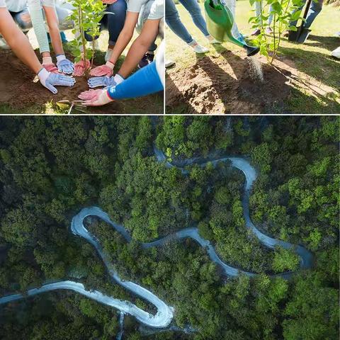 新路口实验幼儿园-美术班《绿水青山》