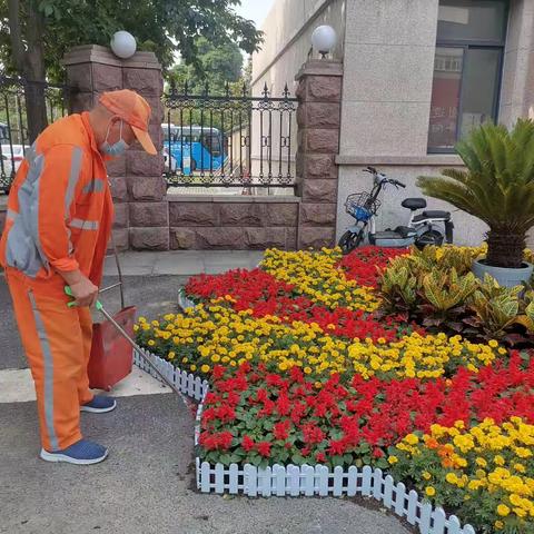 【槐荫城管南辛环卫所】强化分级保洁  打造靓丽槐荫