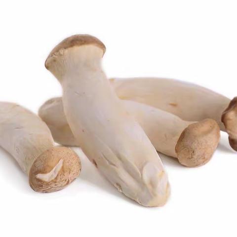 【美好“食”光，用心陪伴】——西安莲湖华美童年幼儿园3月16日美食分享