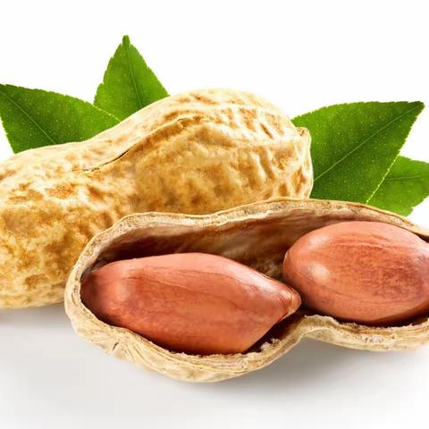 【美好“食”光，用心陪伴】——西安莲湖华美童年幼儿园3月21日美食分享