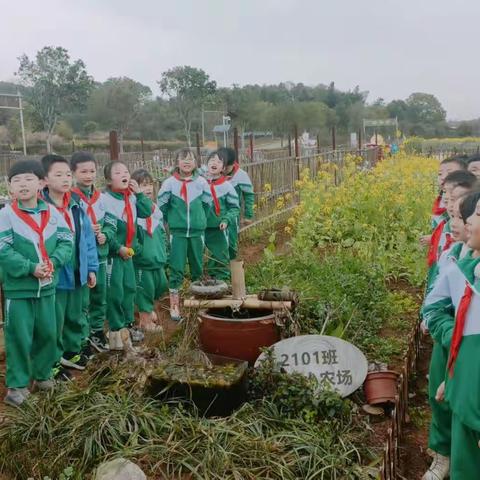 “学苑课堂展风采，听课评课迎春来”——银川忠信职业高级中学语文教研组听课评课活动