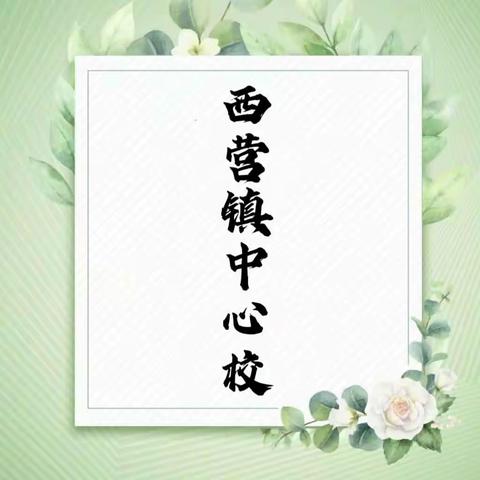 西营镇中心校2023年3月30日工作动态