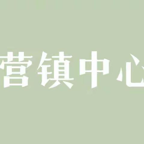 西营镇中心校4月6日工作动态