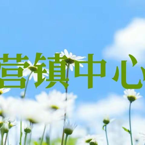 西营镇中心校4月27日工作动态