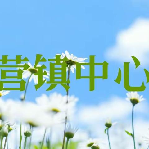 西营镇中心校5月4日工作动态