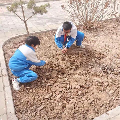 大坝小学“参与劳动，体验成长”劳动实践课