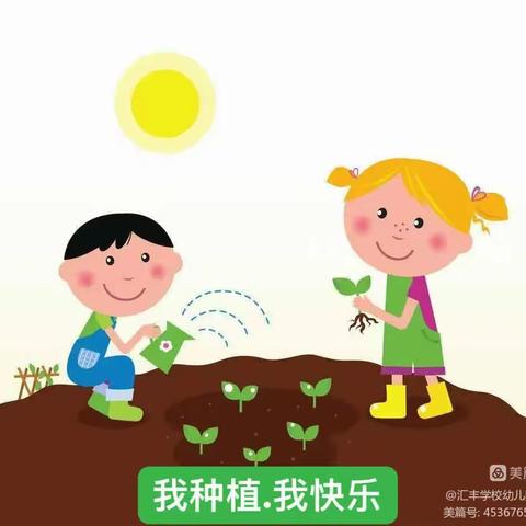 【伶俐君悦海棠幼儿园】——享自然，育美好之种植活动剪影